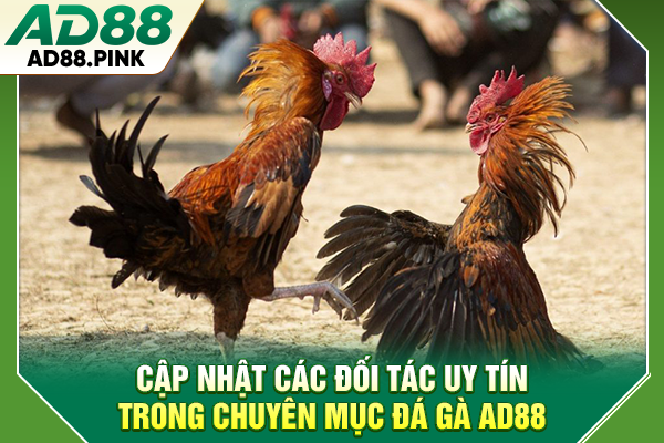 Cập nhật các đối tác uy tín trong chuyên mục đá gà AD88